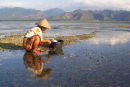 Woman Collecting Shellfish, Gili Air, Lombok