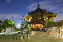 Pagoda at Kofuku-ji Temple, Nara
