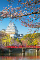 Himeji Castle with spring blossom, Japan