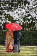 Couple in traditional clothes in Koraku-en Garden, Okayama