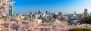 Sakura and skyline, Kobe, Japan