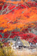 Traditional gassho houses in Ogimachi, Shirakawa, Japan