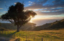View of Firth of Thames at sunset, Coromandel Peninsula