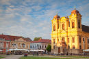 Roman Catholic Cathedral in Piata Unirii, Timisoara