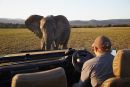 Addo Elephant Park, Eastern Cape