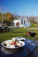 Wine and cheese, Blaauwklippen Wine Estate, Stellenbosch