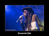 DrummieZeb