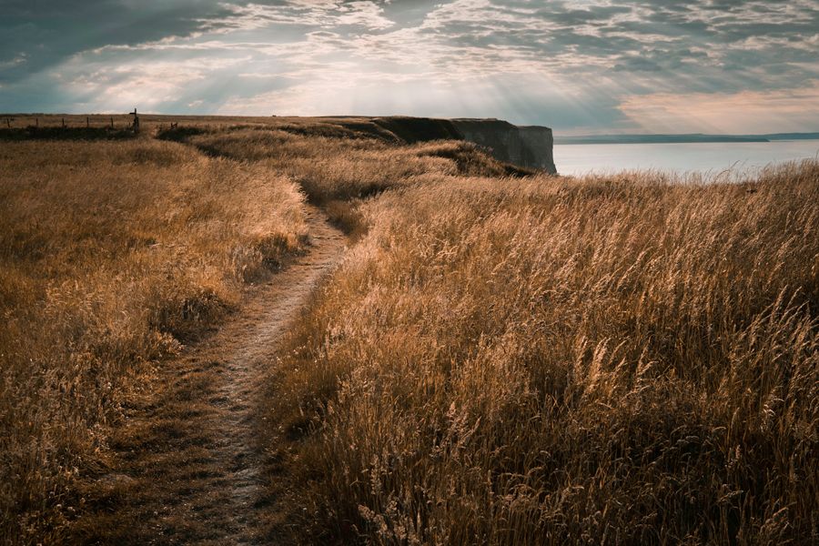 aa cliff top burnt grasses