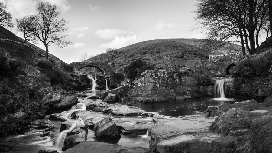 aa three shire head