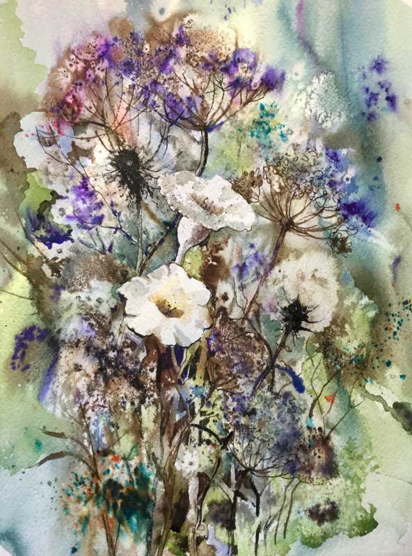 Wild Posy