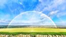 FROM INGBIRCHWORTH