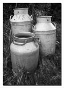 Milk Churns IN THE COTSWOLDS