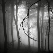 Signs of loneliness