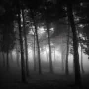 The gathering #3