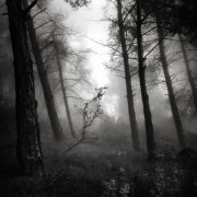 A place to hide #3