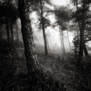 A place to hide #2