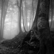 Path to the light