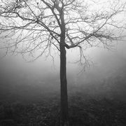 Alone IX