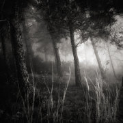 A place to hide
