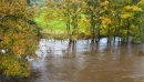 River Bursts it's Banks