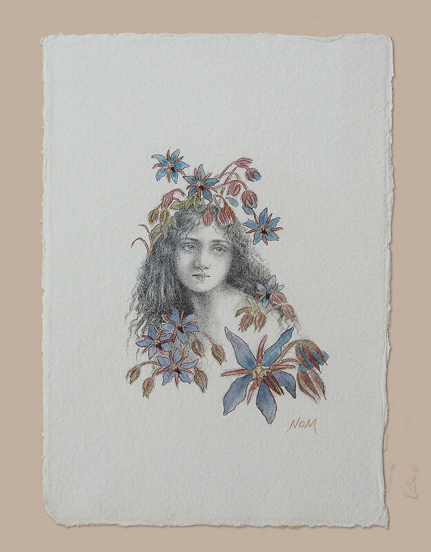 BORAGE