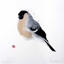 Bullfinch [Female]