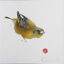 Greenfinch [Unique]