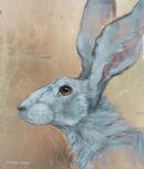 Winter Hare