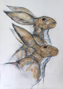 Hare Pair