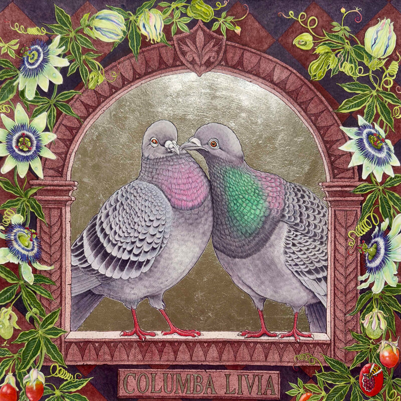 LOVEBIRDS [Columba Livia]