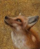Golden Fox