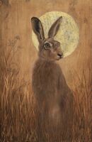 Sunset Hare