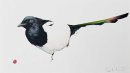 Magpie