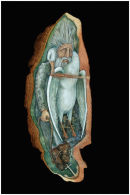 Ancient Mariner