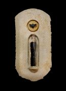 A Midsummer's Daydream