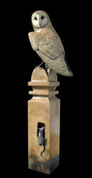 Barn Owl on Post