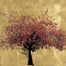 Prunus Serrulata VIII