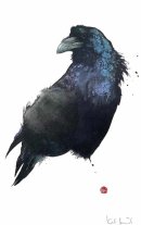 Raven