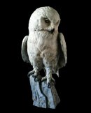 Snowy Owl