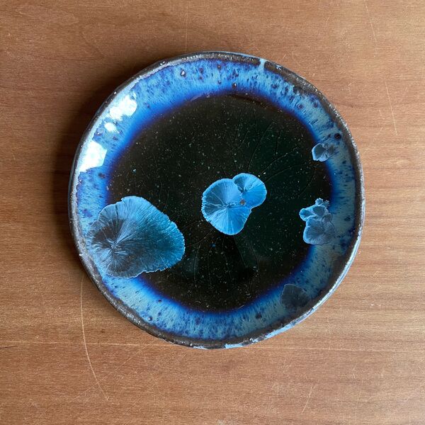 Jelly fish I Plate-6