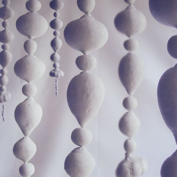 The silhouette of vegetable