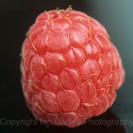 Raspberry close up