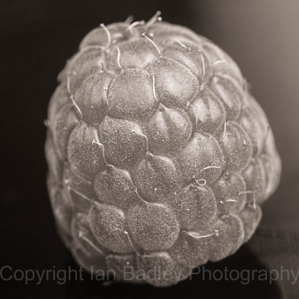 Raspberry close up