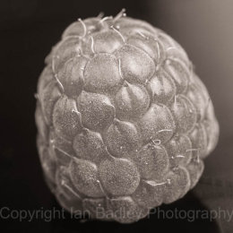 Raspberry close up
