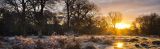 The Dawn Shoot