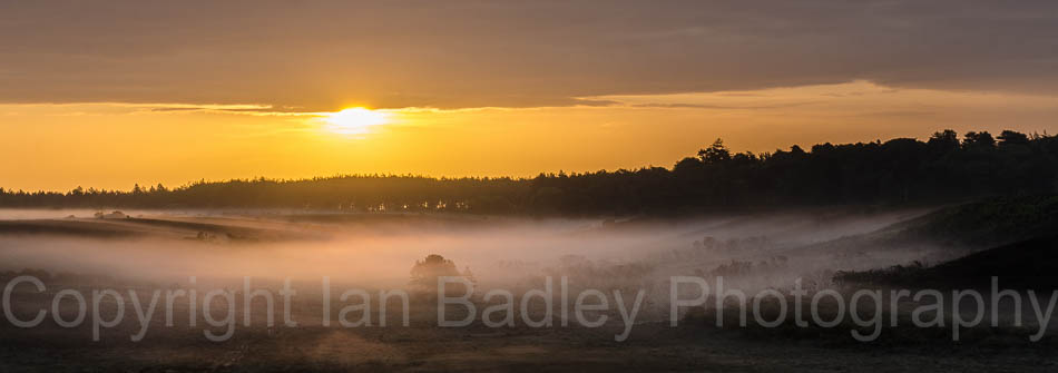 Mist on the moor at sunrise in summer, in the New Forest National Park, Hampshire, England