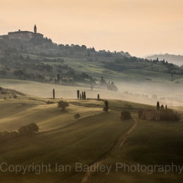 Cypress trees over rolling hills below Pienza, Tuscany, Italy
