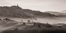 Cypress trees over rolling hills below Pienza, Tuscany, Italy