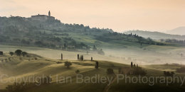Cypress trees over rolling hills below Pienza, Tuscany, Italy