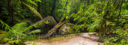 Australia, Queensland, Mossman Gorge, Daintree National Park